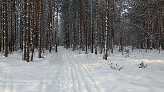 Lyzhnaya Trassa