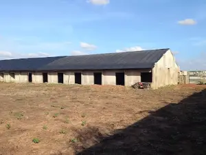 Bida Stadium