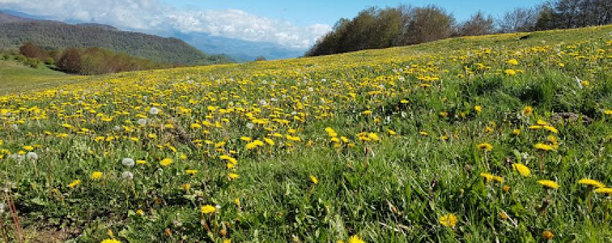 Puigsacalm des de Bracons- Comienzo