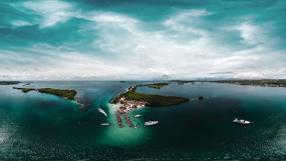 Cholón (Islas del Rosario)