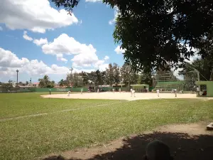 Softball Stadium Grapefruits