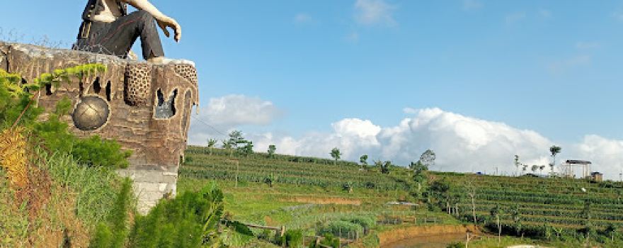 WISATA SAWAH LUNGGUH BARENG