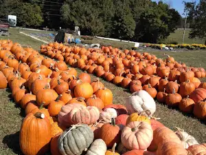 Cornucopia Farm