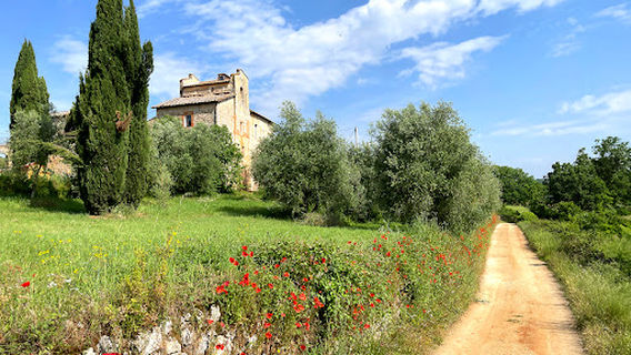 Monteriggioni