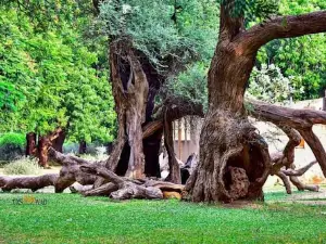 Um Barona Park