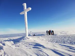 Carpathian Biosphere Reserve Chornohirskyi Reserve Massif