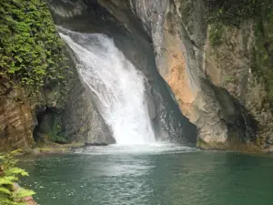 Leaping Caburní