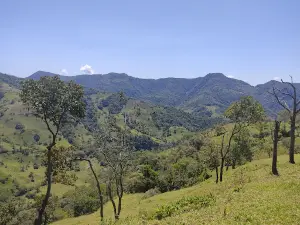 Vereda La Floresta