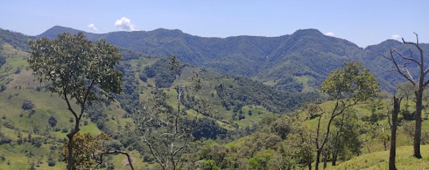 Vereda La Floresta