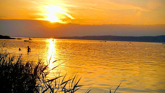 diósgyőri gimnázium alapítványi tábora