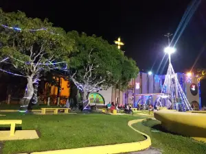 Roman Catholic Diocese of Alto Solimões