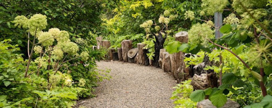 The Edible Forest Yarra Valley