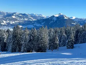 Bödele