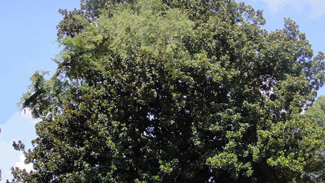 Hopewell Baptist Church