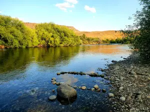Camping Toscas Blancas