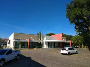 Sociedade Esportiva Sanjoanense