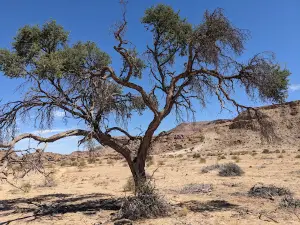 Gondwana Village Hiking Trail