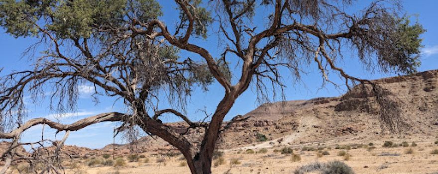 Gondwana Village Hiking Trail