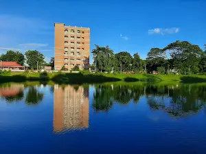 Court Pond