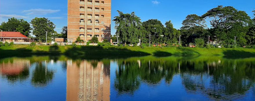 Court Pond