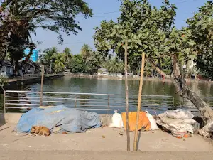 Kalaiya boro pukur