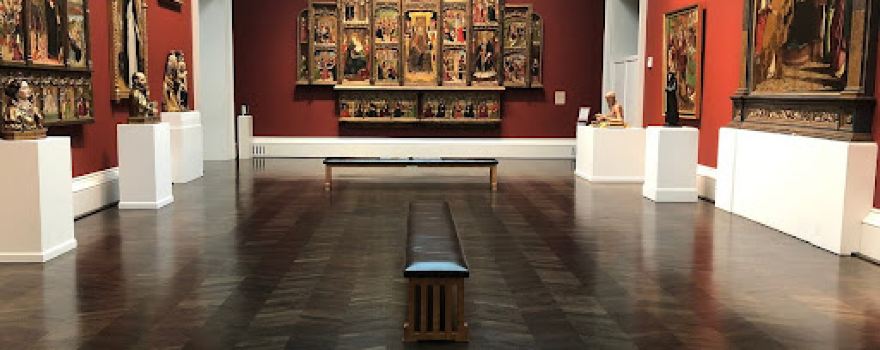 Discover Dallas Tours