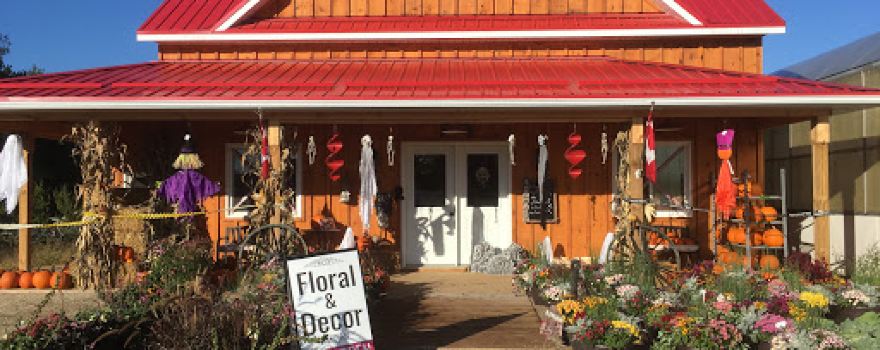 D & H Garden Centre