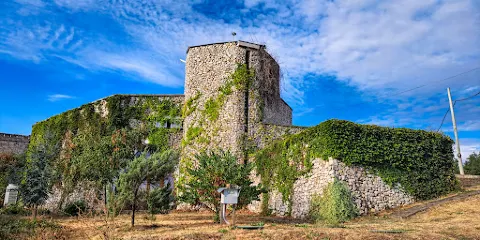 自然歷史博物館