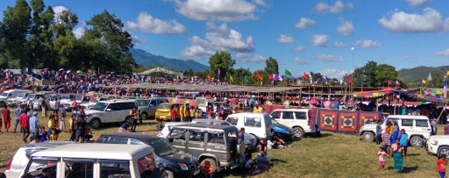 Peace Ground, Lamka