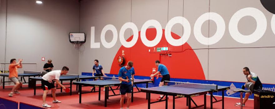 LOOPS Table Tennis