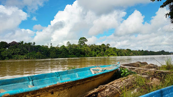 Kinabatangan