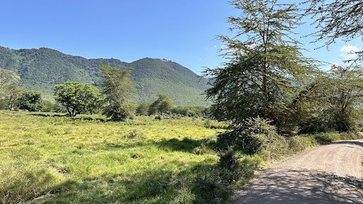 ngorongoro conservation area authority headquater