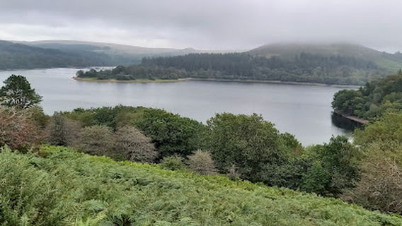 Meavy