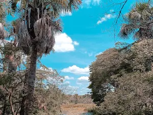 Banho do Pau Preto
