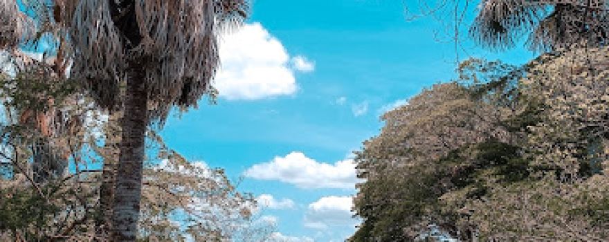 Banho do Pau Preto