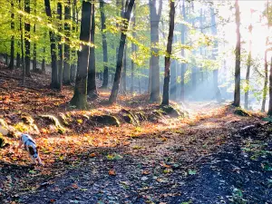 Ohře