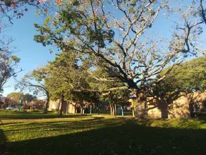 Tambor de Tacuarí Park