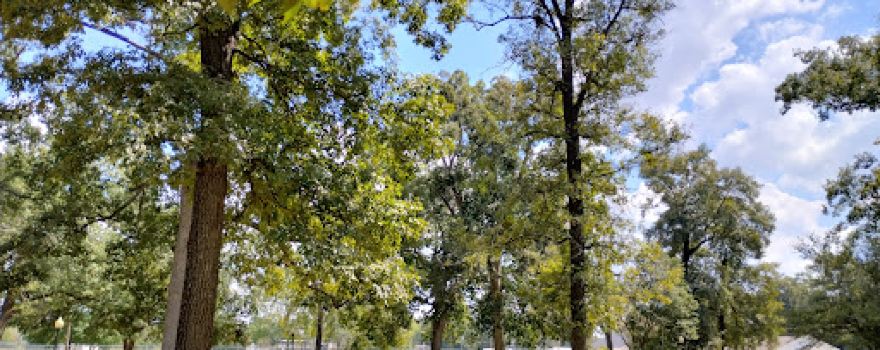 Oak Grove City Park