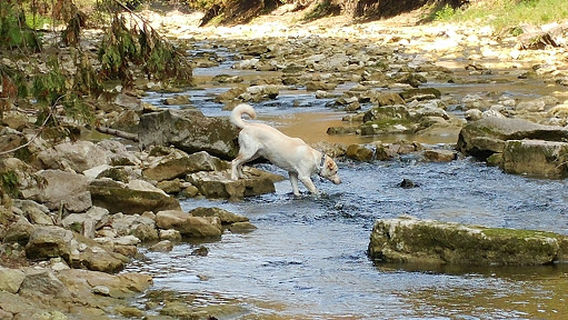 Jefferson Elora Community Centre