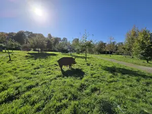 Pature d'Haisne