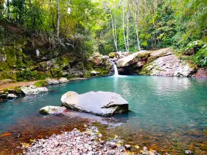 Camping Do Neuro