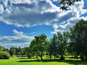 City Park Misztalec