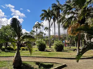 Balfour Garden