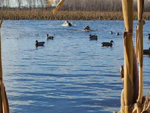 Nodaway Valley Conservation Area