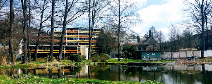 Froschgrüner Park