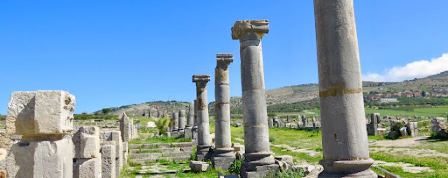 Museum of Volubilis