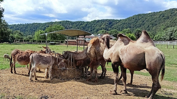 Rekreační park Karlštejn