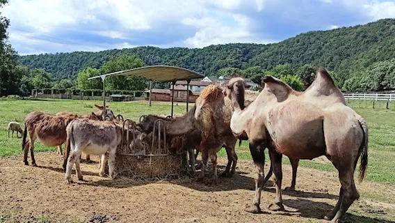 Rekreační park Karlštejn