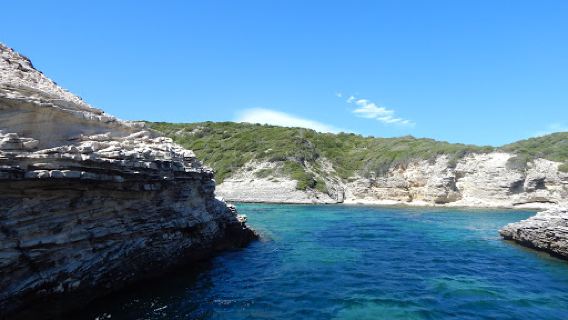 L'Araguina