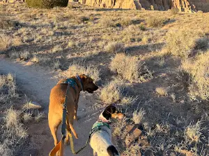 Cathedral Gorge Campground